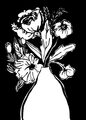 Image Not Available